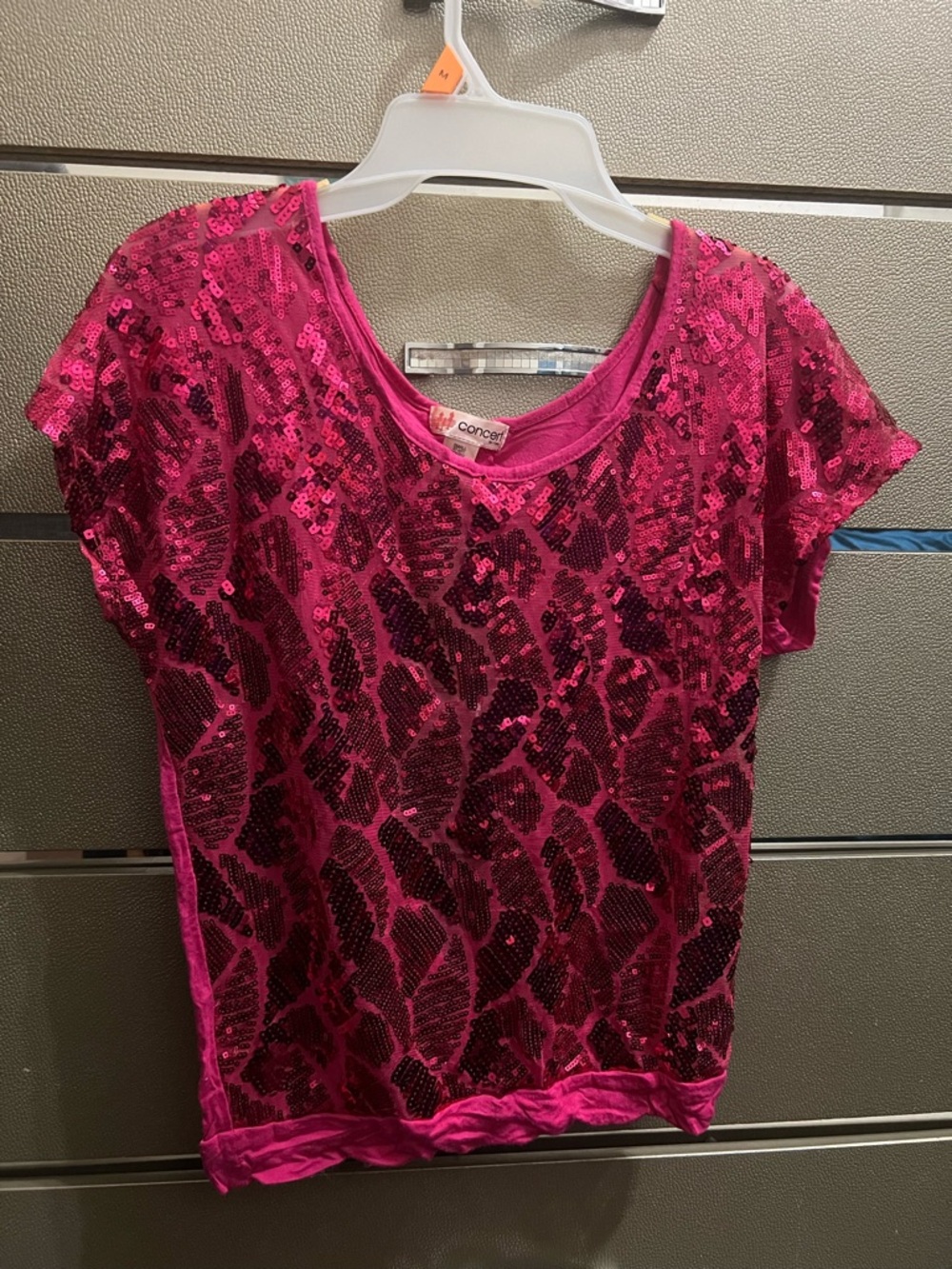 Hot Pink Sheer Sequin Short Sleeve Top